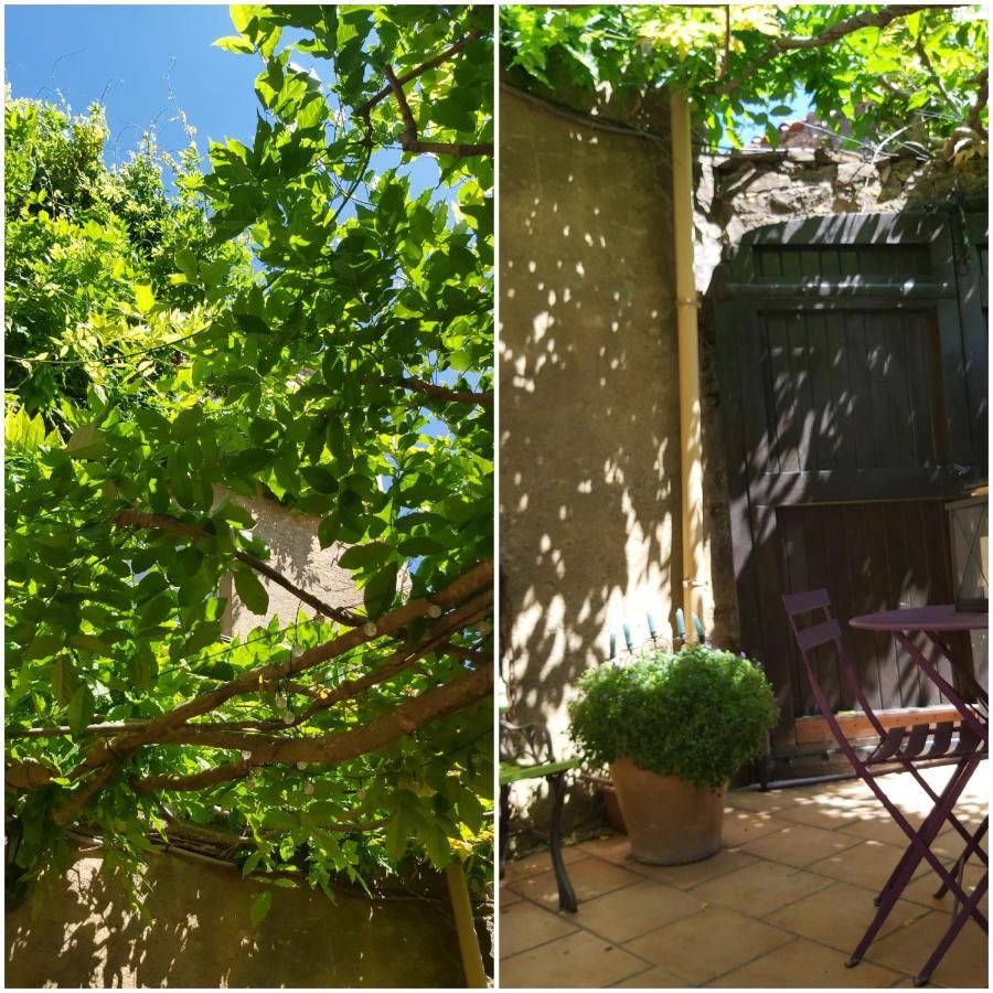 Le Chateau Camps-sur-l'Agly Exteriör bild