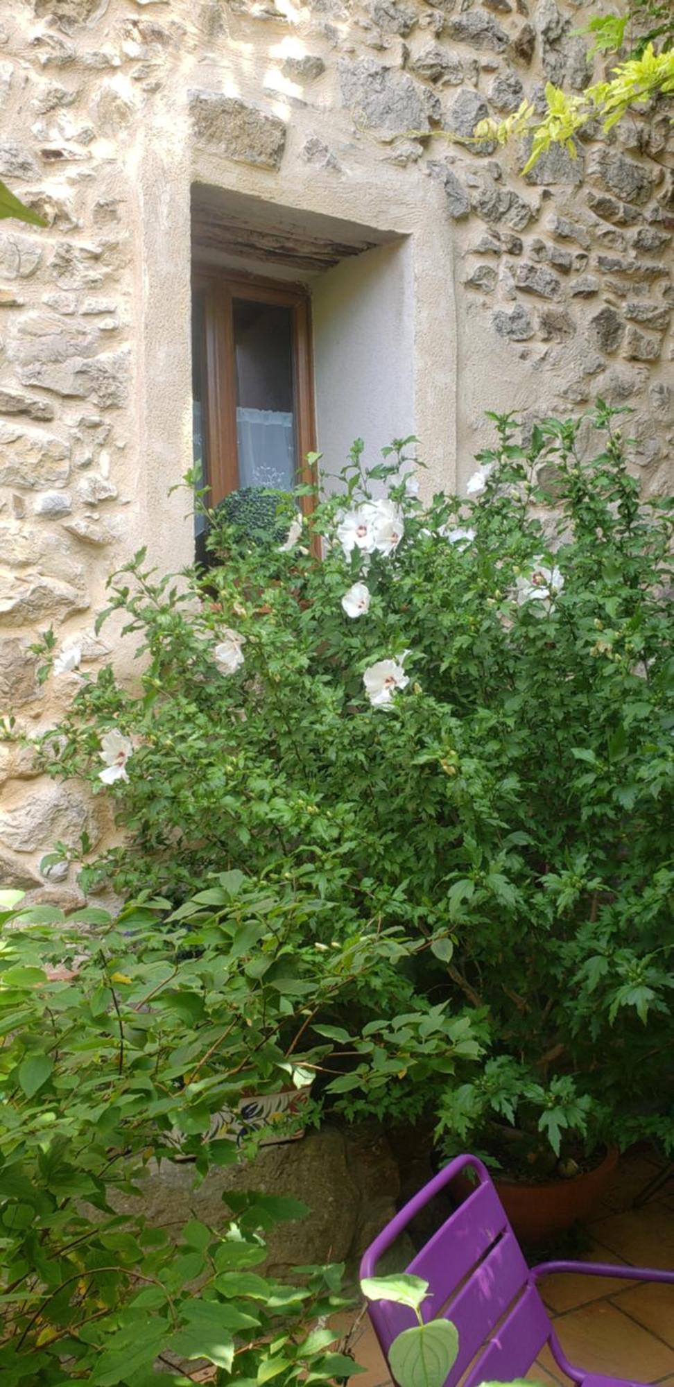 Le Chateau Camps-sur-l'Agly Exteriör bild