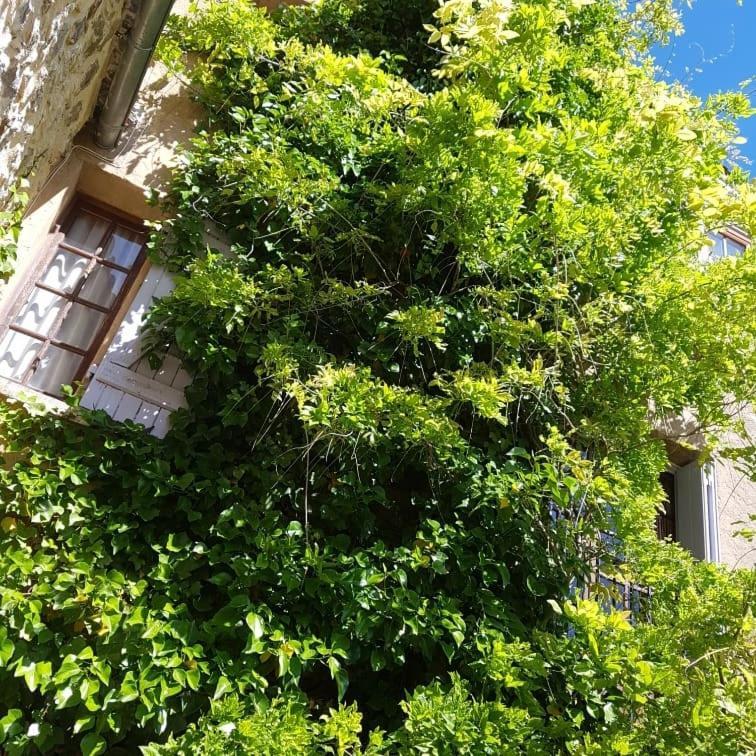 Le Chateau Camps-sur-l'Agly Exteriör bild